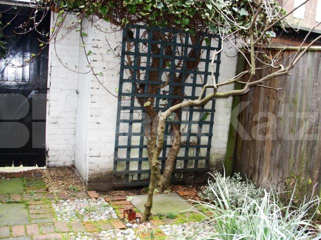 			LET, 3 Bedroom, 1 bath, 1 reception House			 Lurline Gardens, Battersea